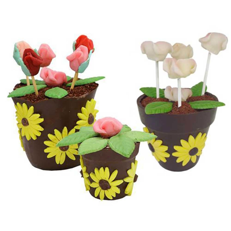 Pots de fleurs