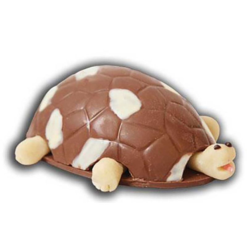 Tortue à croquer