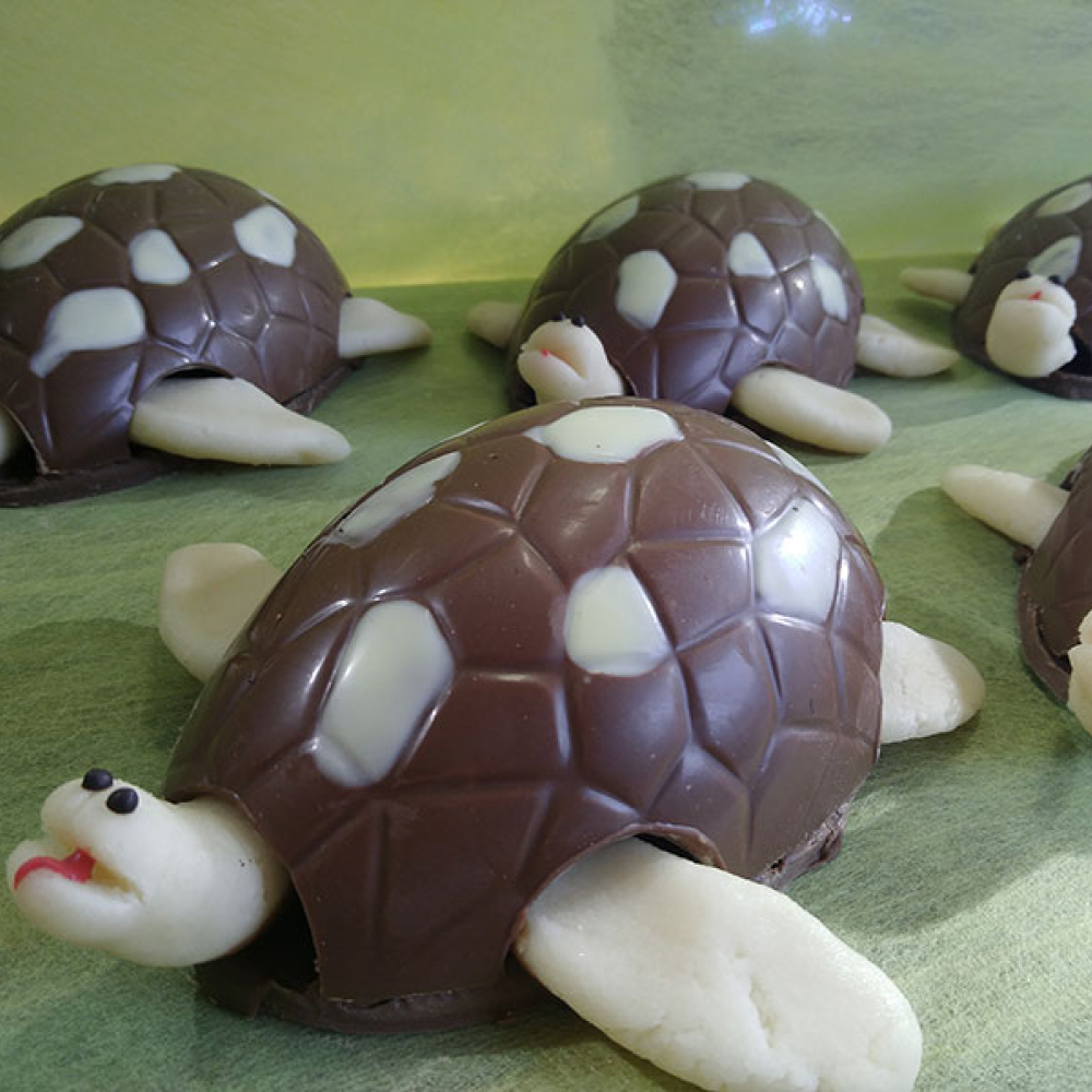 Tortue à croquer