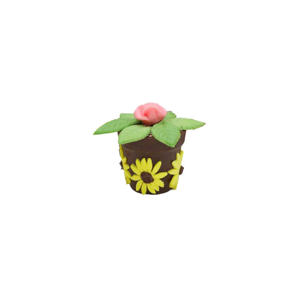 Pots de fleurs