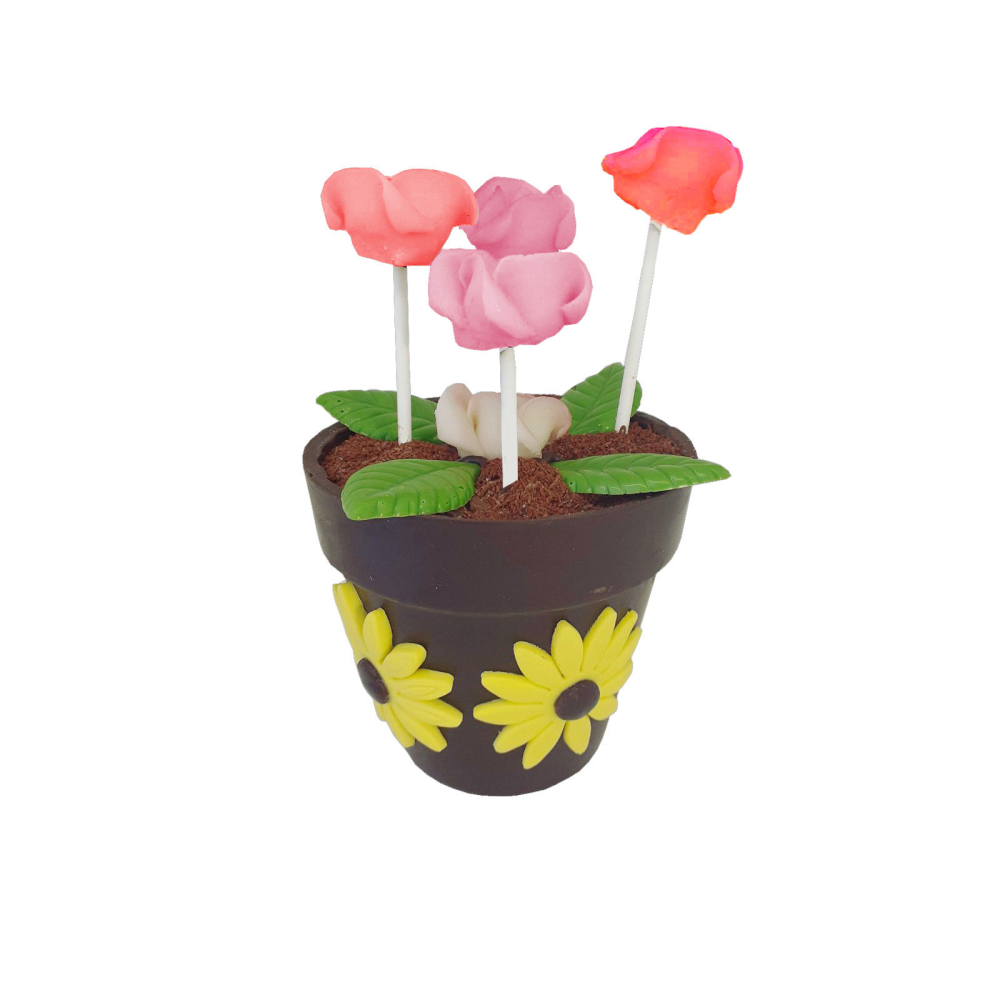 Pots de fleurs