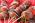 Bouquet de fraises Bouquet de fraises